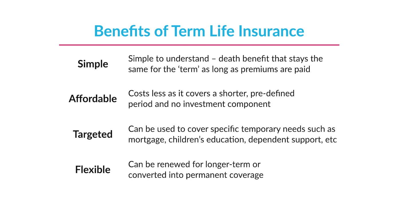 What Does Term Life Mean