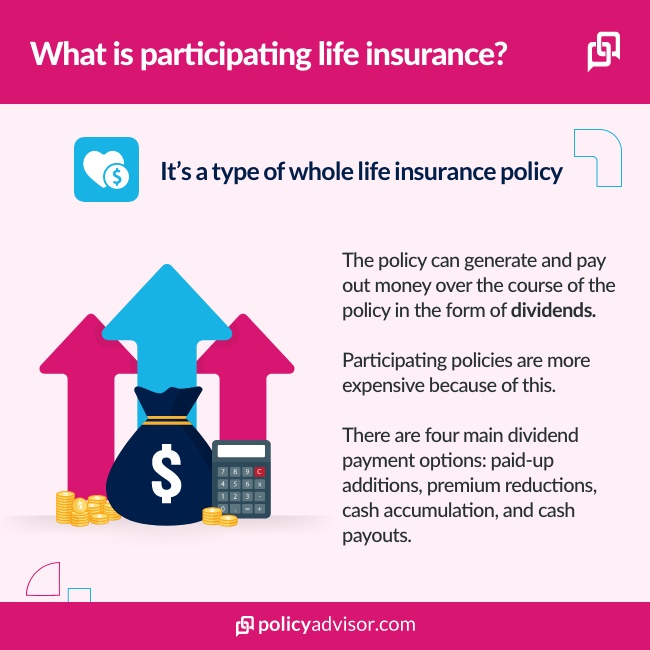 What is Participating Whole Life Insurance?