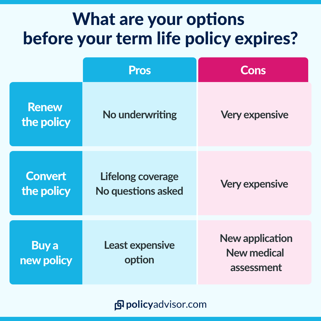 Policy renewal options