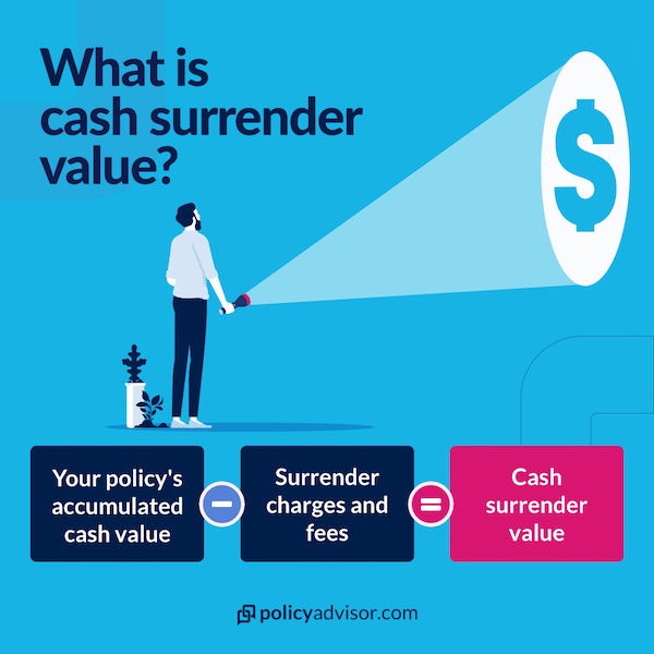 Term Life Insurance Policy Cash Surrender Value