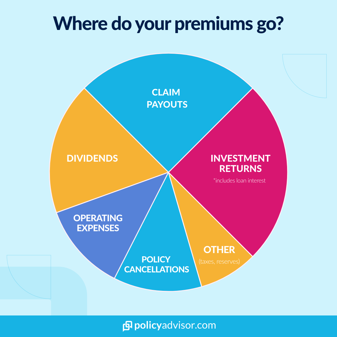 Where do you premiums go?