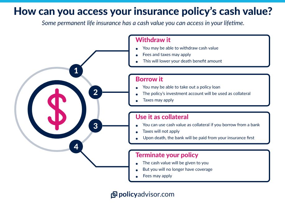 Universal Life Insurance vs. Whole Life