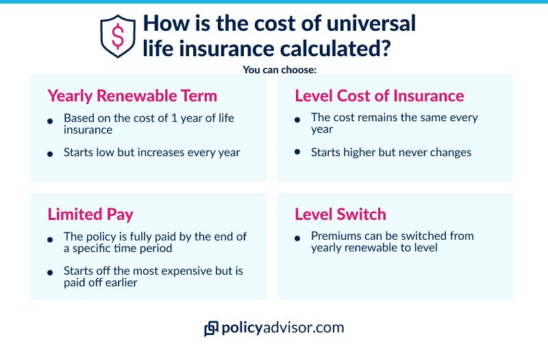 Term, Whole, & Universal Life Insurance