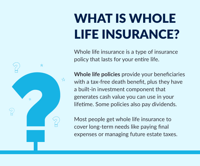 Life Insurance  The Motley Fool